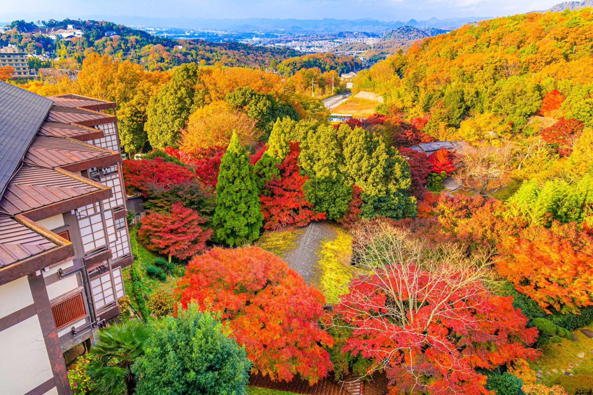 Ryokan Motoyu Kosenkaku 4*